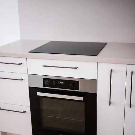 Cozy Parkside Living In Embassy District Apartment Riga